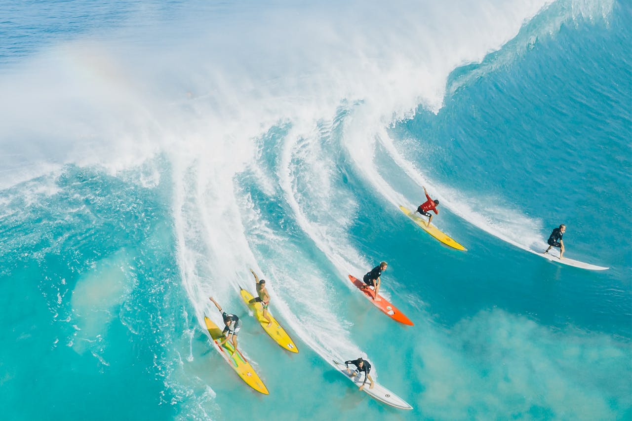 Surf